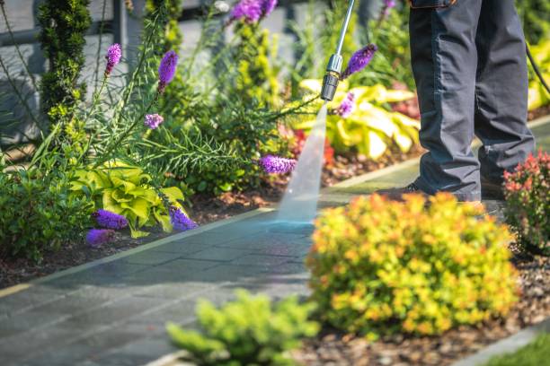 Best Patio and Deck Pressure Washing  in Stonebridge, NJ